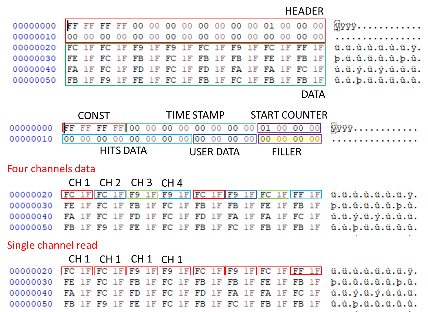 Data Format